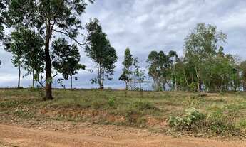 Imagem 2: Chacara terra 1,5 alqueire mucambinho