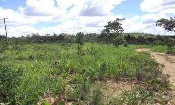 Imagem 7: Lindas fazendinhas de 20 mil metros 100% plana, Jaboticatubas(Temos varias opções)