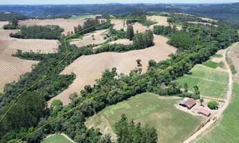 Imagem 2: 29.0 Ha para soja ou gado em Vitor Meireles sc