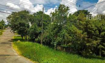 Imagem 13: Terreno ZR-3 à venda, 462 m² por R$ 740.000 - Mossunguê - Curitiba/PR