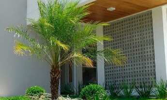 Imagem 2: Lote/Terreno na Fazenda Real Residence Bahia 189.000 1000m²