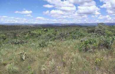 Imagem 3: Lindas fazendinhas de 20 mil metros 100% plana, Jaboticatubas(Temos varias opções)