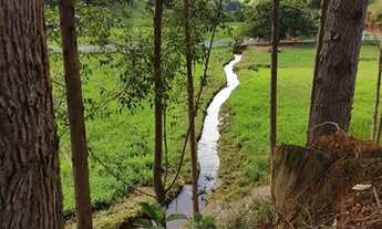 Imagem 3: Sitio a venda em Santana de Cataguases Minas Gerais