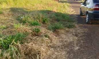 Imagem 2: Chácara a venda