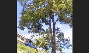 Imagem 4: Terrenos a venda em Bela aurora