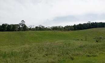 Imagem: 3m -500 metros quadrados em Cachoeira