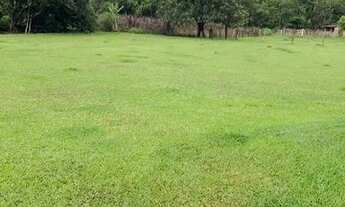 Imagem: Vendo terreno para plantação