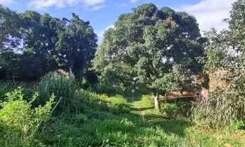 Imagem 4: Terreno no Bairro Novo em Serra Grande