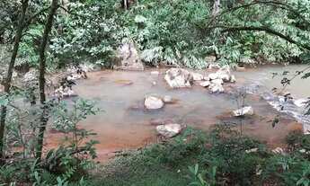 Imagem 5: Chácara com lindo rio e árvores frutíferas 6,3 alqueires!!