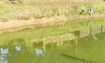 Imagem 4: CASA A VENDA EM LOMBA GRANDE