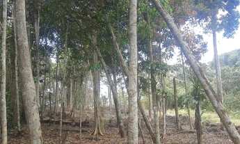 Imagem 2: Terreno Chácara com venda por R$7.500