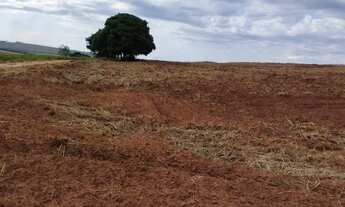 Imagem: Vendo sitio 7 alqueires escriturado pronto