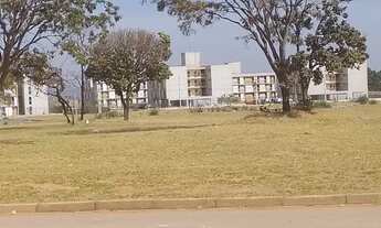 Imagem 2: Lote p.sul BARAto