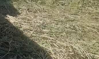 Imagem 3: TERRENO EM CONDOMINIO