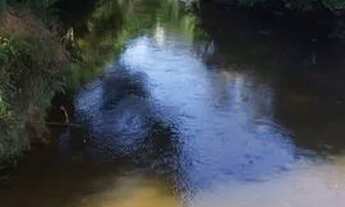 Imagem 2: Chácara em Ribeirão Grande