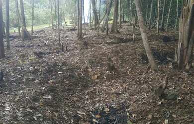 Imagem 6: Terreno Chácara com venda por R$7.500