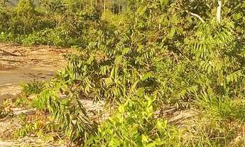 Imagem 2: Gleba Monjolo 10 Hectares