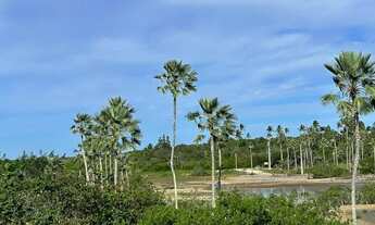 Imagem 3: Casa para venda com 200 metros quadrados com 6 quartos em Centro - Jijoca de Jericoacoara