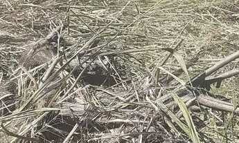 Imagem 7: TERRENO EM CONDOMINIO