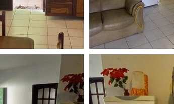 Imagem 12: Praia do Ervino locação por temporada