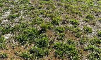 Imagem 2: Lote/Terreno para venda com 1500 metros quadrados em Centro - Mairiporã - SP