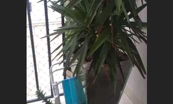 Imagem 2: ÓTIMO APTO - LAZER - LOCALIZAÇÃO PRIVILEGIADA