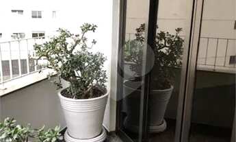 Imagem 3: São Paulo - Apartamento Padrão - CAMPO BELO