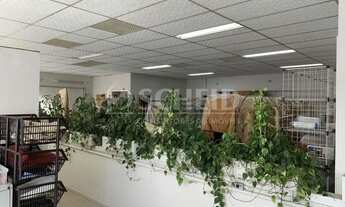 Imagem 5: Excelente imóvel 441m² na av Ibirapuera com 10 vagas