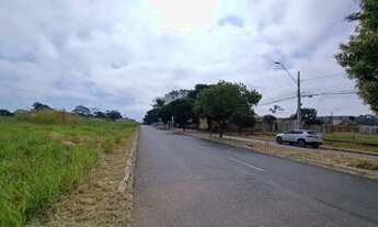 Imagem 6: Área 11.650 m2, Vila Brasília ao Lado da BR-153