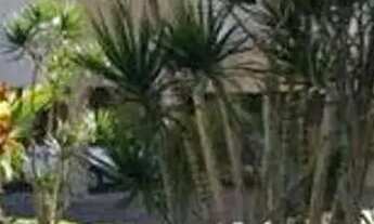 Imagem 2: Apartamento em Rua das Gaivotas - Ingleses do Rio Vermelho - Florianópolis/SC