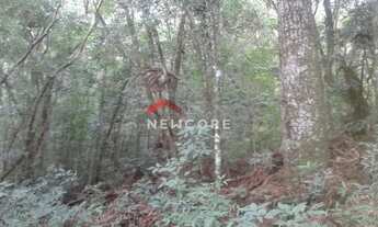 Imagem 7: Lote em Estrada da cruzinha - Cruzinha - São Francisco de Paula/RS