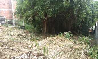 Imagem 6: Excelente Terreno em Pendotiba