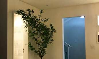 Imagem 7: Casa em Barro Branco (Zona Norte