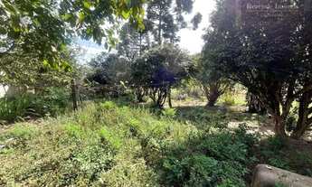 Imagem 2: Terreno à venda, 2600 m² por R$ 3.000.000,00 - Santo Inácio - Curitiba/PR