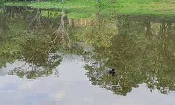 Imagem 5: Chácara 2.000m2 em São João Da Boa Vista/SP - 242m área construída