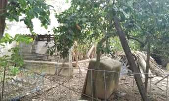 Imagem 7: CASA A VENDA EM SANTA ISABEL NO CENTRO