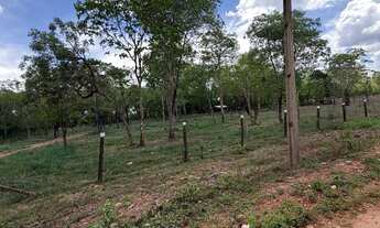 Imagem 6: Chacara às margens do rio Cuiabá dentro da cidade!