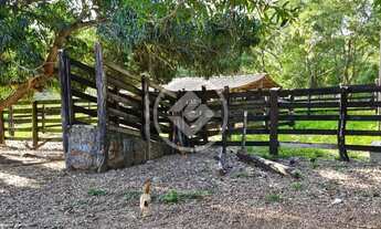 Imagem 3: Sitio com otima oportunidade de produtividade e lucratividade . codigo: 74117