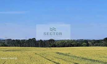 Imagem 3: Terrenos / Lotes / Condomínio em - São José dos Pinhais