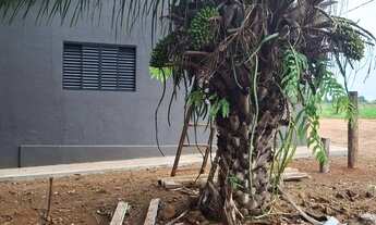 Imagem 4: Chácara entre Turvania e Firminopolis