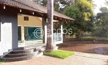 Imagem 4: Chácara à venda, 3 quartos, 1 suíte, 20 vagas, Patrimônio - Uberlândia/MG