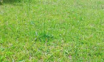 Imagem 2: 6 mil MTS 140 mil reais