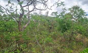 Imagem 6: Fazenda 2.750 hectares valor 8.250.000