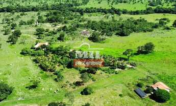 Imagem 3: Fazenda 323 alqueires (1.563 hectares) Colinas Do Sul - Go