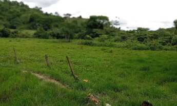 Imagem: Fagenda à Venda em Campinaçu