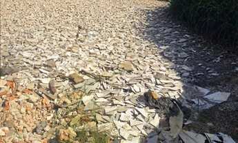 Imagem 5: Aluguel terrenos comerciais