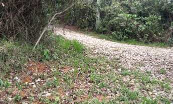 Imagem 3: CHÁCARA 3 MIL MTS EM CONDOMÍNIO EM IGARAPÉ