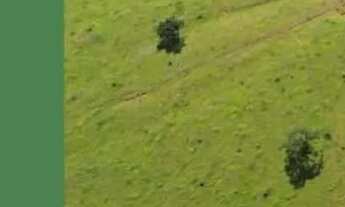 Imagem 2: Planícies da serra em itaguara