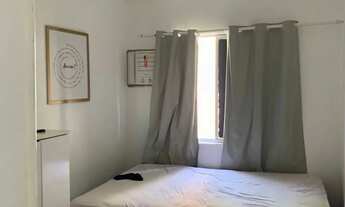 Imagem 2: Mata atlântica 2