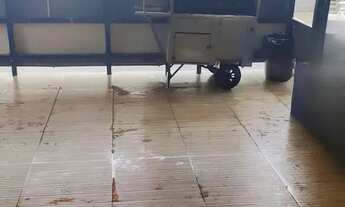 Imagem 7: Açougue bem localizado em Guarulhos. Ref; 1461